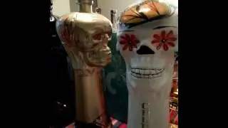 The Chaos that is Tequila Aficionado