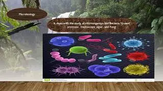 Major Fields of Biology