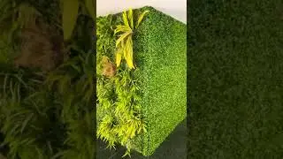 wall decoration#vertical garden@degardenia official#youtubeshorts#shorts