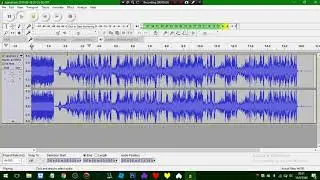 Disquietude Ending voice REVERSED