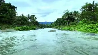 Relaxing Bird and River Sounds for Sleep | 4K Ultra HD |  Relaxing Nature & Flowing Water