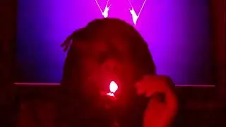 Waze RRX - Viral (War and Romance 3)