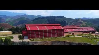 GATARE TEA PROCESSING