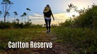 Carlton Reserve