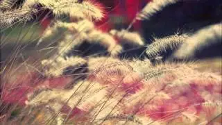 Autumn Leaves Chet Baker Italian Sessions