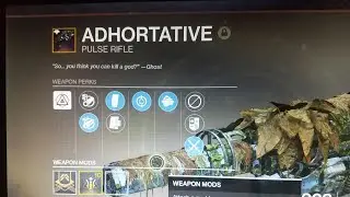 Destiny 2 Adhortative Insane Pulse Rifle