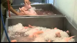 Organic turkeys fly off the shelves
