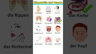 K&ouml;rperteile und Organe | Deutsch Lernen | A1-B1 | Deutsch f&uuml;r Anf&auml;nger