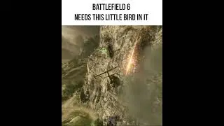 Battlefield 6 Needs this Little Bird in it...