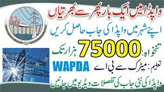Wapda Jobs 2023 Online Apply - Wapda Online Application - Wapda Latest Jobs - Jobs in Wapda Pakistan