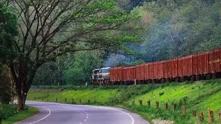 Gowalpara view // gowalpara  #popular #automobile #nature #long #travel #teaplantation