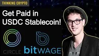 Avoid Crypto Volatility & Get Paid in Stablecoins USDC - Circle Bitwage - Jonathan Chester Interview