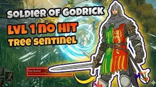 TREE SENTINEL vs LEVEL 1 SOLDIER of GODRICK no hit