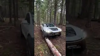 Overland Tesla Climbs Logs! 🔋⚡️🔋