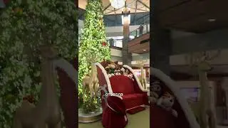 🎄 Angel Tree &mdash; делайте мир добрее, друзья.