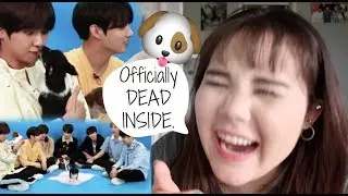 BTS playing with PUPPIES on Buzzfeed REACTION!!! (ohmaiGODDD)