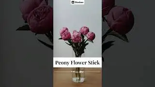Artificial Peony Flower Stick | Perfect for Business & Home Decor | Shop Online @shop.eikaebana