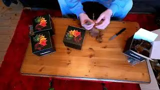 Novritsch leaves review LC1, LC3 and LC4