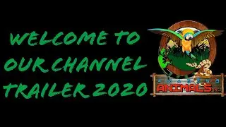 Amazing Animals Inc YouTube channel Trailer