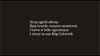 Nocą ogród oliwny