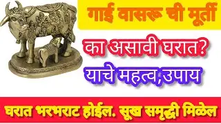 गाई वासरू ची मूर्ती का असावी घरात? वसुबारसे दिवशी नक्की आणा.. कुठे ठेवावी आणि काही उपाय.