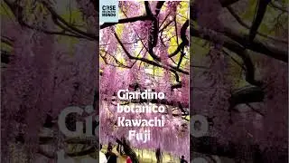 Giardino botanico Kawachi Fuji, #Giappone
