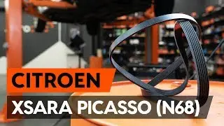 How to change serpentine belt / v-ribbed belt on CITROEN XSARA PICASSO (N68) [TUTORIAL AUTODOC]