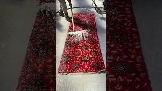Oddly Satisfying Carpet Cleaning ASMR #asmr #satisfying #rugcleaning #carpetcleaning