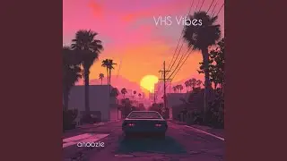 VHS Vibes