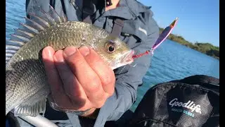 Bream on Berkley Skid Jig 20g - Currumbin Creek Fishing