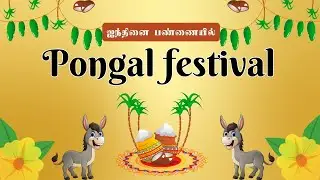 தைப்பொங்கல் கொண்டாட்டம் | Aindhinai Pongal Celebration | Traditional Tamil Pongal Festival