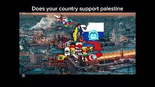Does your country support palestine