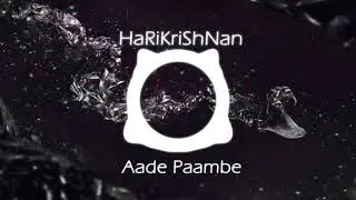Aadu paambe | Dubstep-Idakka fusion