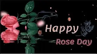 Happy Rose Day 2023 Whats app status🌹😍🌹Latest Rose Day status video🌷 valentine special Rose Day 2023