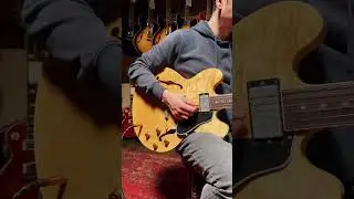 The Perfect Song to Show off This Stunning Super-Flamey Gibson ES-335 🎸 🔥
