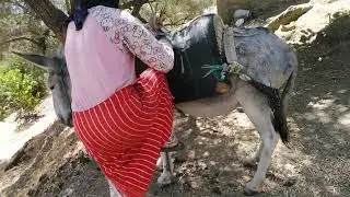 حياة الرُعاة في الريف: يوميات بين الجبال والمراعي