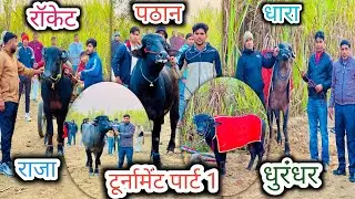मुकरनपुर टूर्नामेंट का पार्ट 1 जिसमे भारत के नामचीन झोटो ने दिखाया अपना जलवा #up20katralover 
