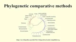 Phylogenetic comparative methods