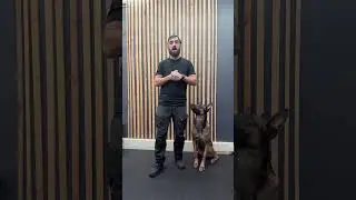 Become a dog trainer or level up your skills with @methodk9​⁠ Online Dog Trainer Certification.