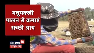 Annadata | मधुमक्खी पालन से कमाएं अच्छी आय, जाने मधुमक्खी पालन विशेषज्ञ से | News18 Rajasthan