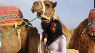 Last days in Morocco