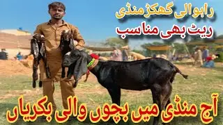 Rahwali Ghakhar Mandi Aaj Ke Rate | Goat Mandi Full Update 2025