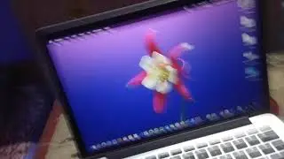 Macbook Pro Wifi: не установлено оборудование, исправлено с помощью USB-адаптера Wi-Fi D-Link