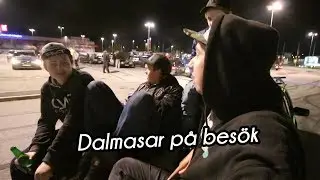 Dalmasarna p&aring; Bes&ouml;k | VLOGG #313