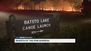 Pine Barrens experience rebirth three months after devastating forest fire