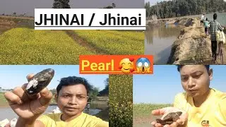 Pearl 😱😱 (Jhinai ) #pearl #virals #vedio #youtubevedio #pearl #ytstudio #PostViral #vedio #local