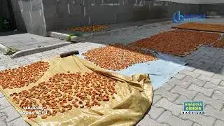 Van Gevaş Ko&ccedil;ak K&ouml;y&uuml;| Anadolu Gibidir Bağcılar