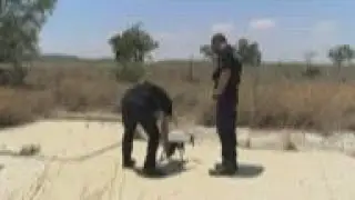 UK bases on Cyprus boost fight against traffickers
