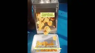 Orange/lemon cutter machine