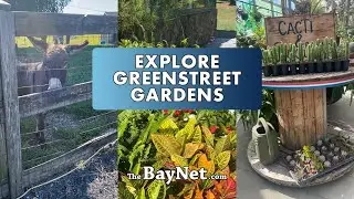 Explore Greenstreet Gardens: Fall Plants, Farm Animals And Family Fun Await
